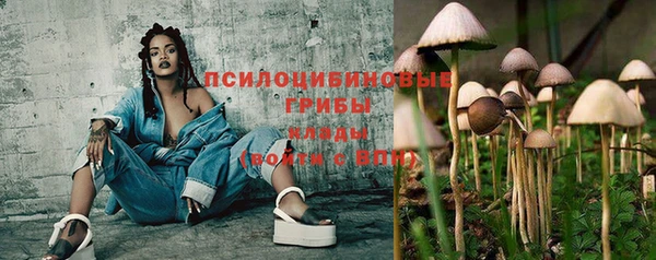 прущий лед Надым