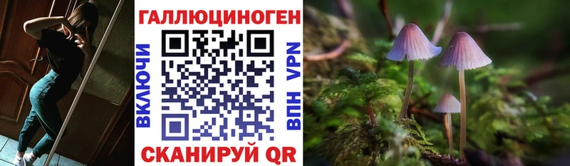 Галлюциногенные грибы мицелий  Покров 